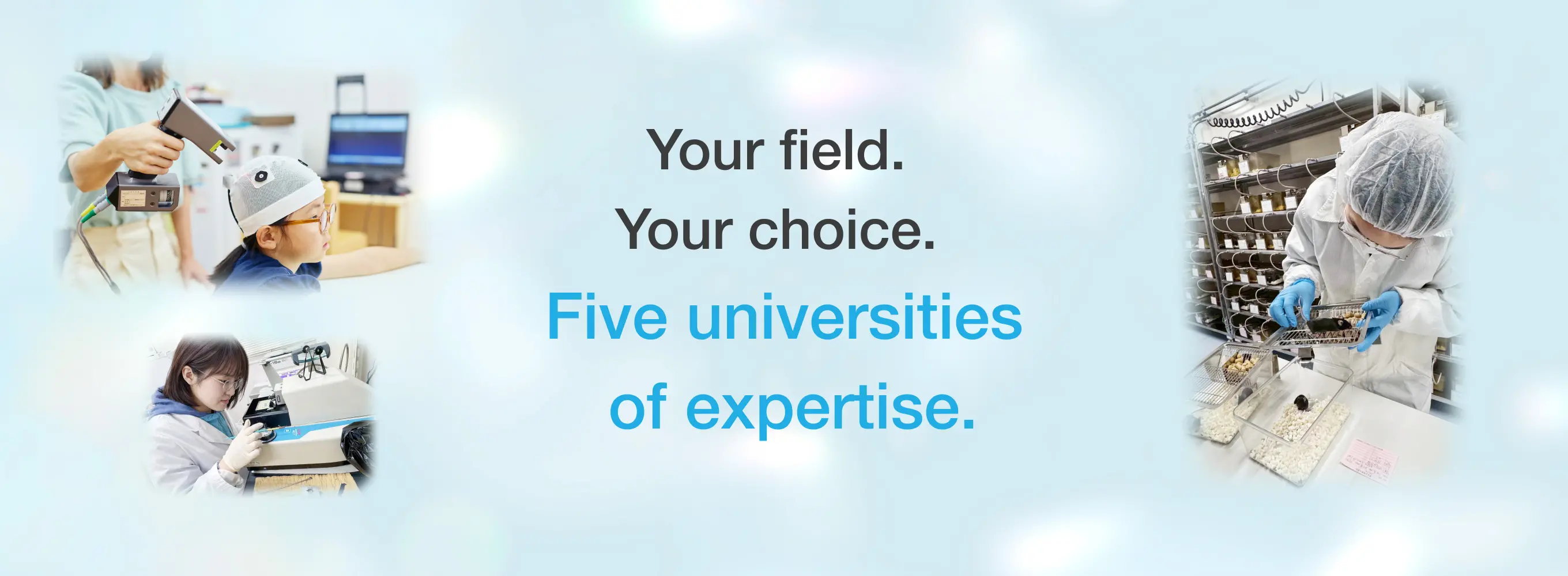 Freely choose from the specialized fields of 5 universities and study intensively through practical training.